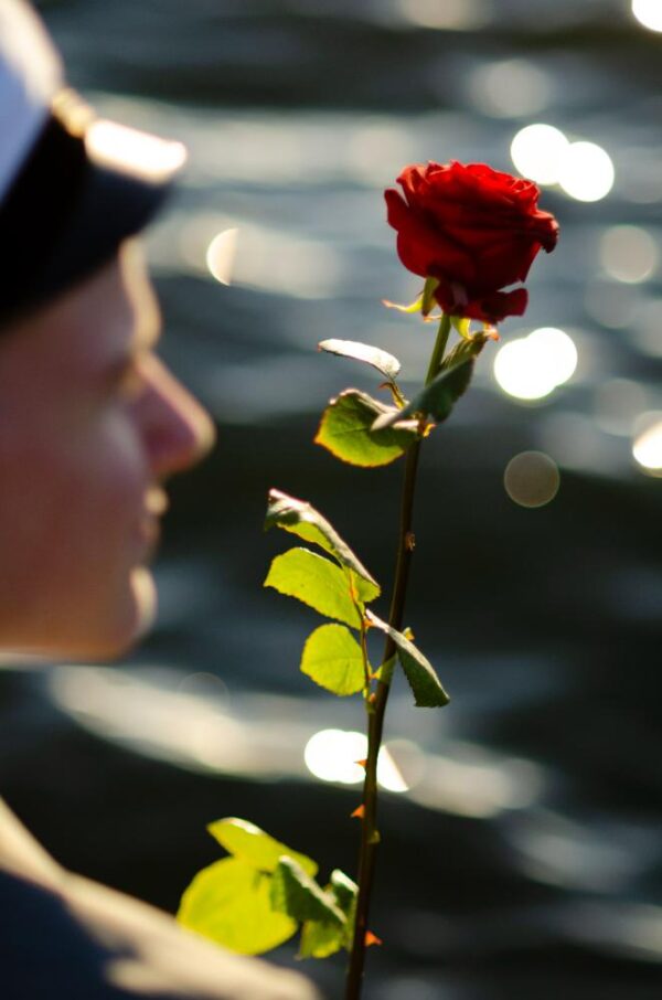 An artistic vision of a man graduating, holding a red rose in front of the sea.